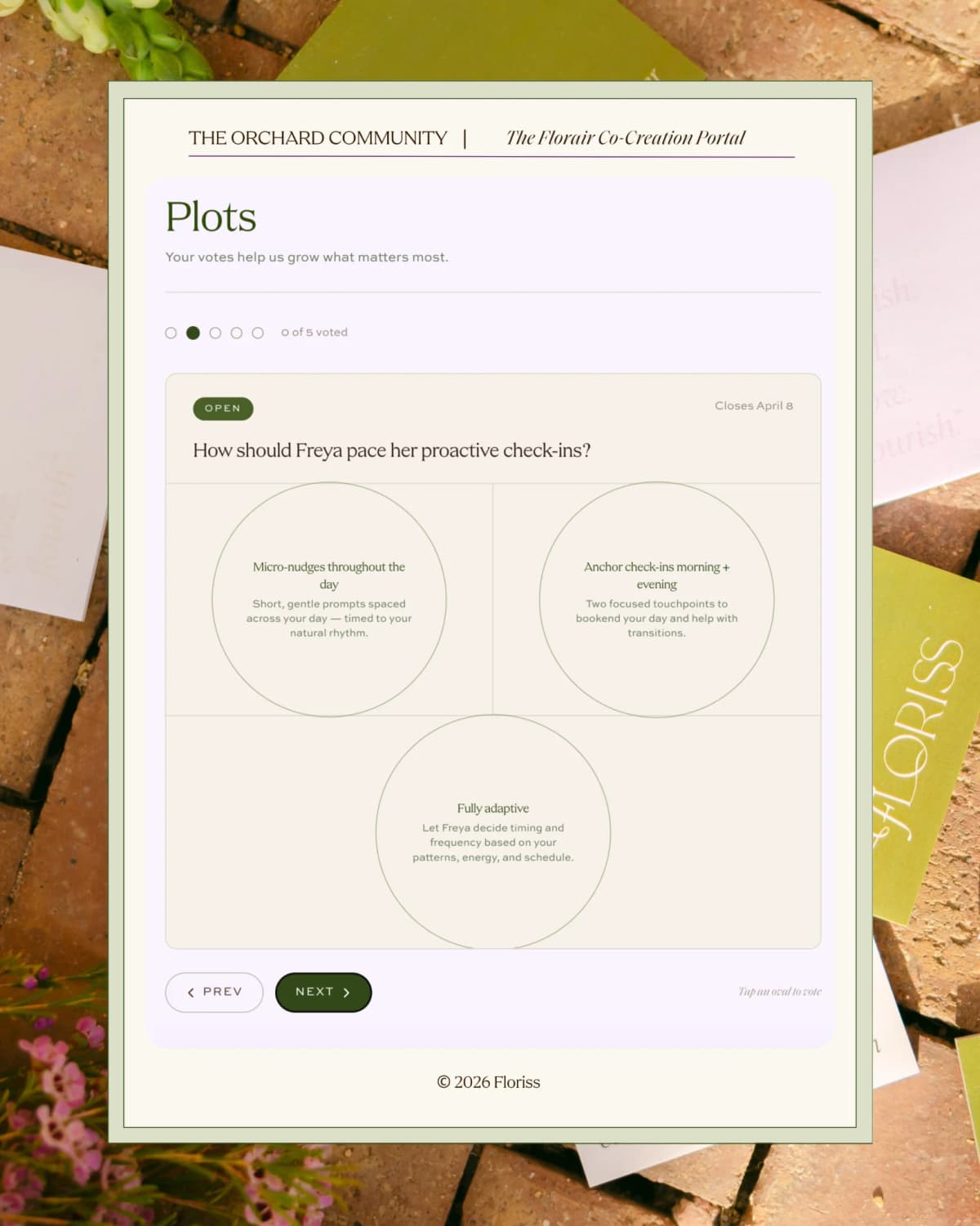 Everyday Enchantment