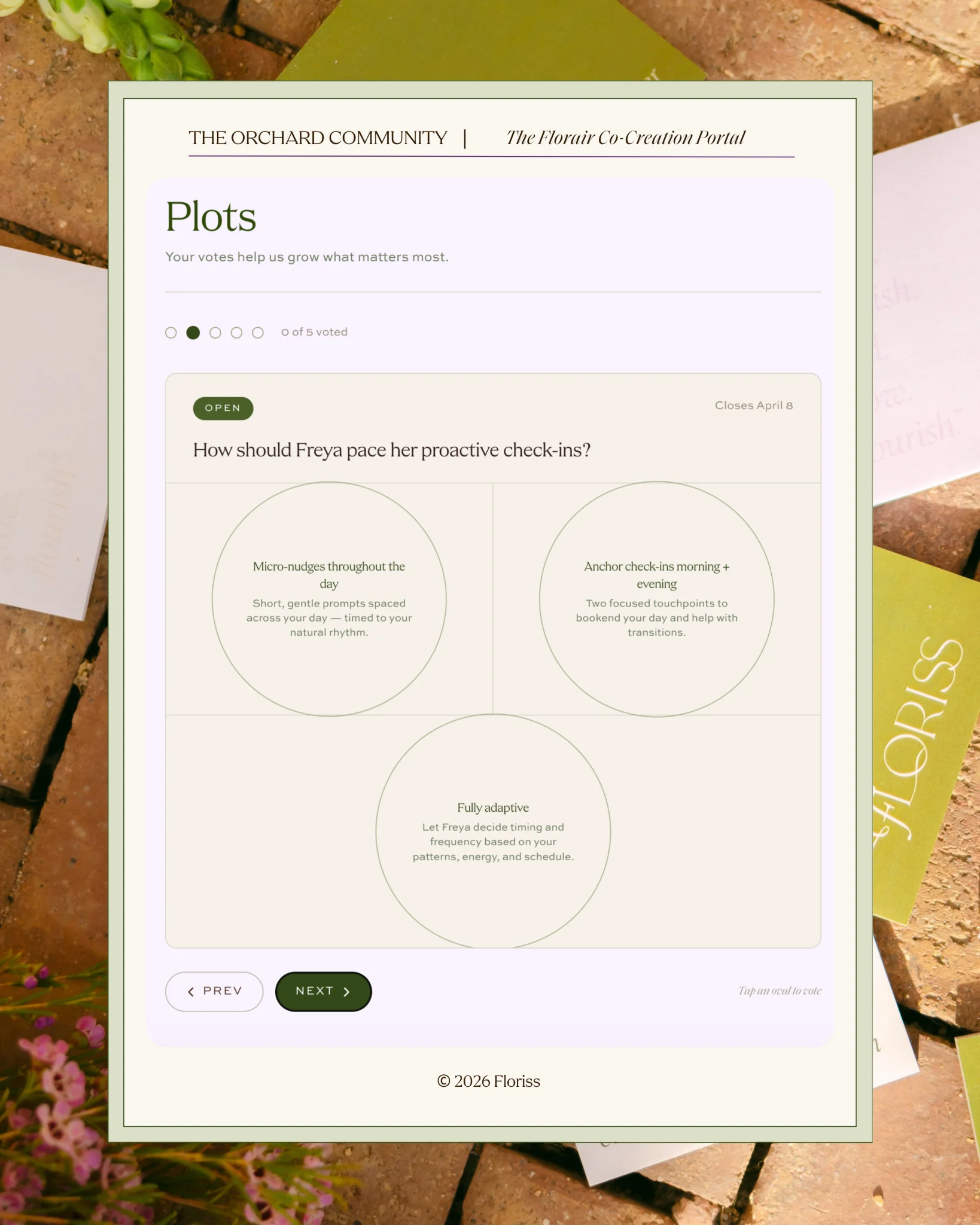 Everyday Enchantment